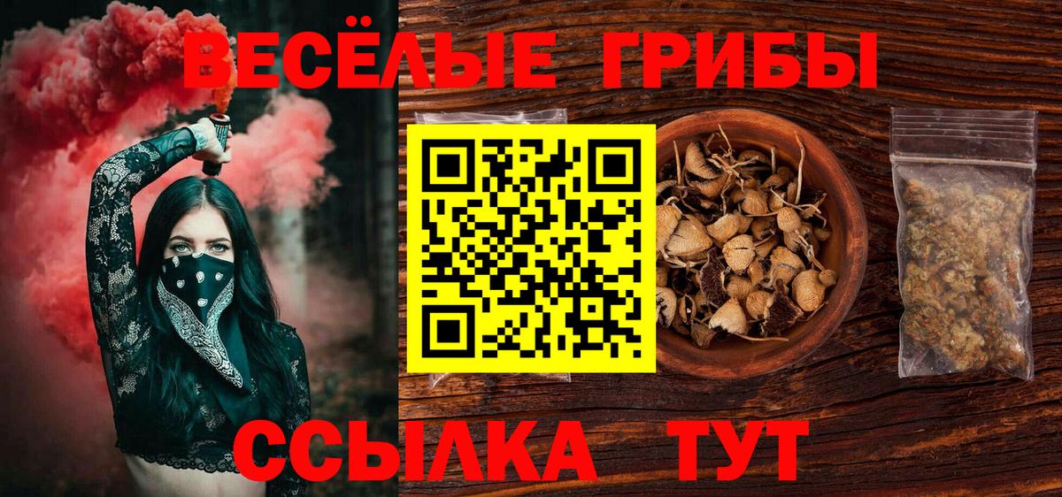 Псилоцибиновые грибы мицелий Северск